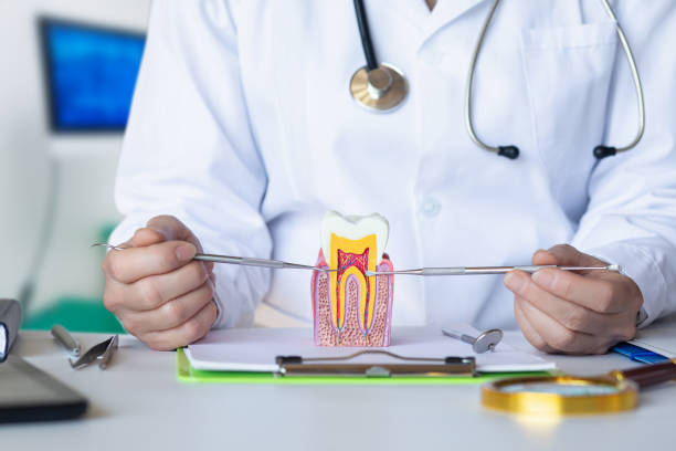 Best Mobile Emergency Dentist in Lake Barrington, IL